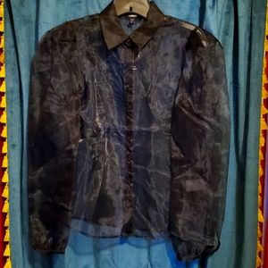 Express sheer blouse